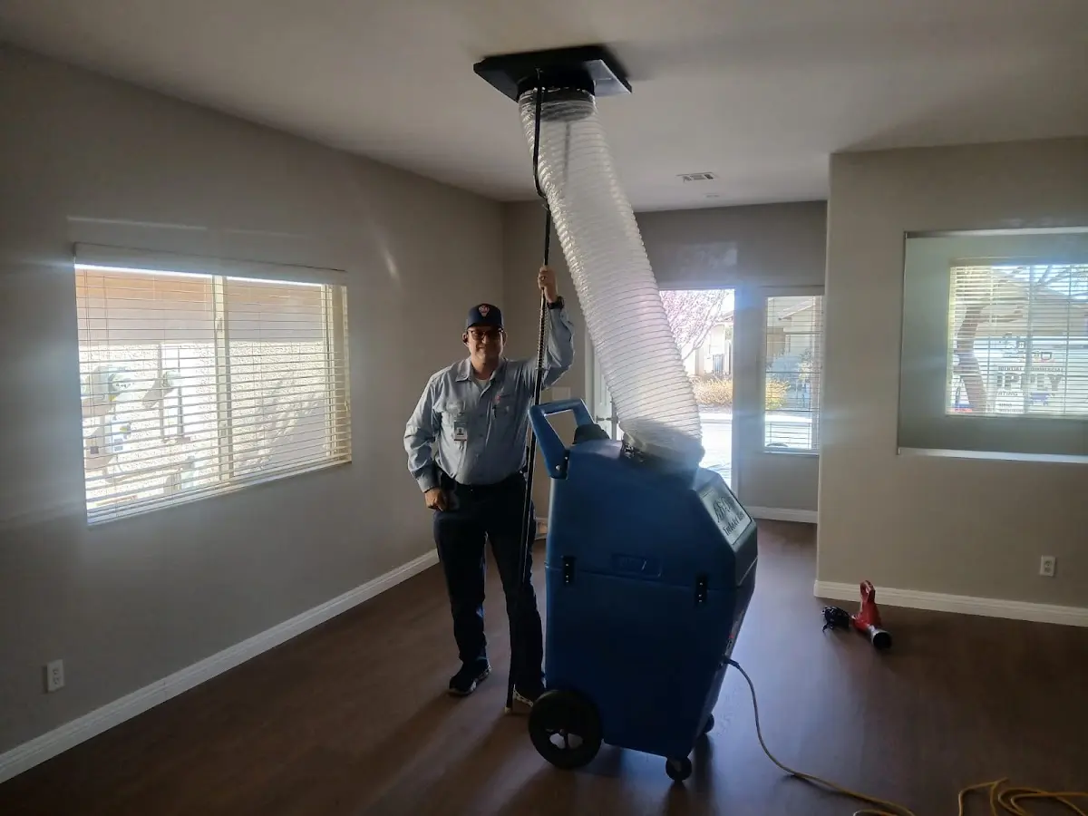 Professional Dryer Vent Cleaning work inside a Phelps home